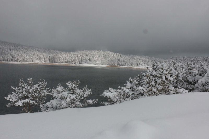 <p>BOLU</p>
