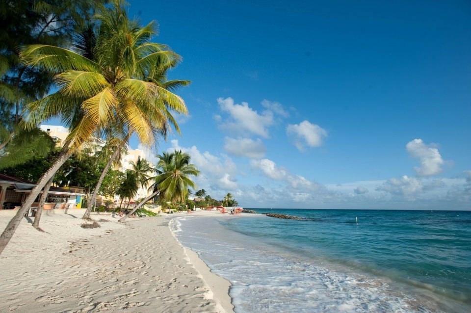 <p>5. BARBADOS</p>
