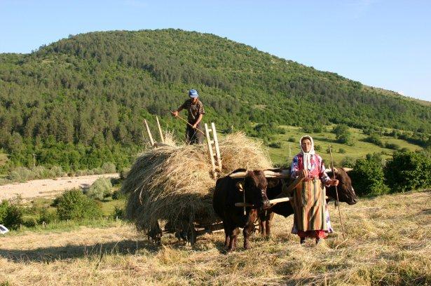 <p><strong> İzzet Sarı Açıksöz Gazetesi Kastamonu</strong></p>

<p> </p>

