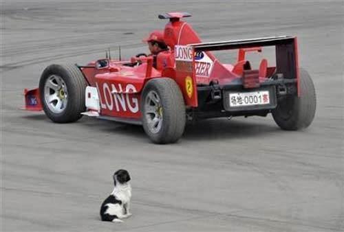 <p>Formula1 fanatiği olan Zhao Xiushun ve Zhao Baoguo kardeşler, aracı tamamen çiftliklerde bulunan eski parçalardan 20 yıllık bir çalışmayla yaptıklarını ifada etti.</p>
