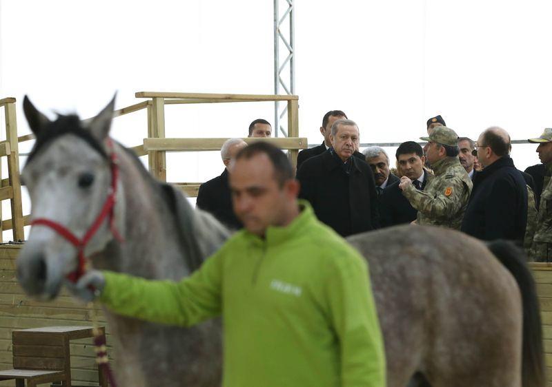 <p>Tedavi konusunda yetkililerden bilgi alan Erdoğan daha sonra atlara havuç yedirdi. </p>

<p> </p>
