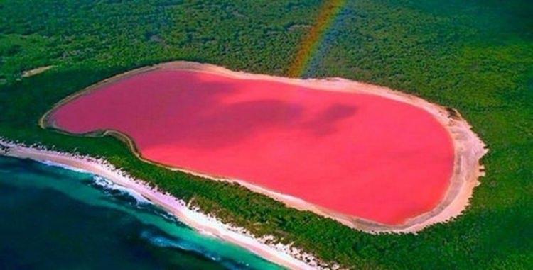 <p>Lake Hillier (Pembe Göl)</p>
<p>Pembe Göl, Batı Avustralya‘nın Goldfields Esperance bölgesinde bir tuz gölüdür. Esperance’in batısında 3 kilometre (2 mil) kadar uzanır ve doğuda güney sahil karayolu ile sınırlıdır. Göl renk olarak her zaman pembe değildir ama suyun tipik rengi yeşil Dunaliella salina isimli su yosunu, halobacterium, Halobacteria cutirubrum ve/veya yüksek oranda karides yoğunluğunun sonucu olarak değişir. Göl suyu deniz suyundan daha yüksek tuzluluk seviyesine ulaşıp, sıcaklık yeterince yükseldiğinde ve yeterli ışık koşulları sağlandığında, yosun kırmızı bir pigment olan beta karoten biriktirmeye başlar. Pembe halobacteria gölün tabanındaki tuz kabuğunda yetişir ve gölün rengi D. salina ve H. cutirubrum arasındaki dengenin bir sonucudur.</p>