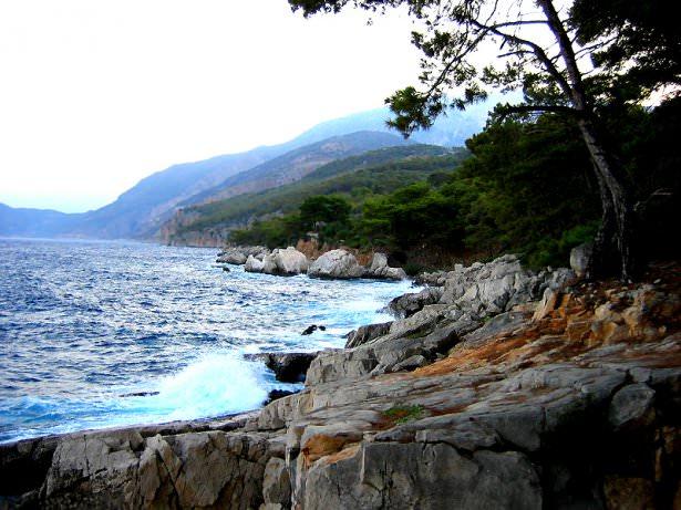 <p>Faralya</p>
