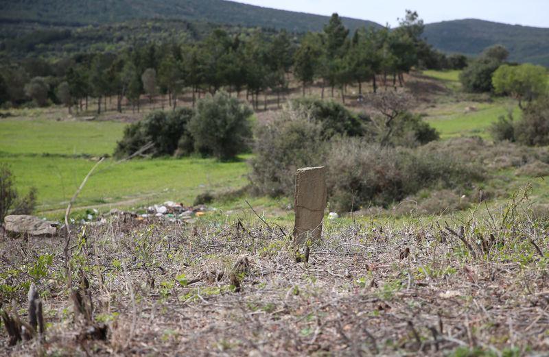 <p><strong>"ORİJİNAL BİR ŞEHİTLİKTİR"</strong></p>
<p>Bölgede mevzilerin de bulunduğuna işaret eden Sayılır, şunları kaydetti:</p>
<p>"Bu mevziler de Ece Limanı'na çıkarma yapılması durumunda Anafartalar'ın arka tarafına sarkmayı engelleyecek şekilde oluşturulmuş mevzilerdi. Kireçtepe'ye gönderilen ve Anafartalar Muharebesi için Karainebeyli köyünden gelen askerlerin güzergahı yine bu yol üzerindeydi.</p>