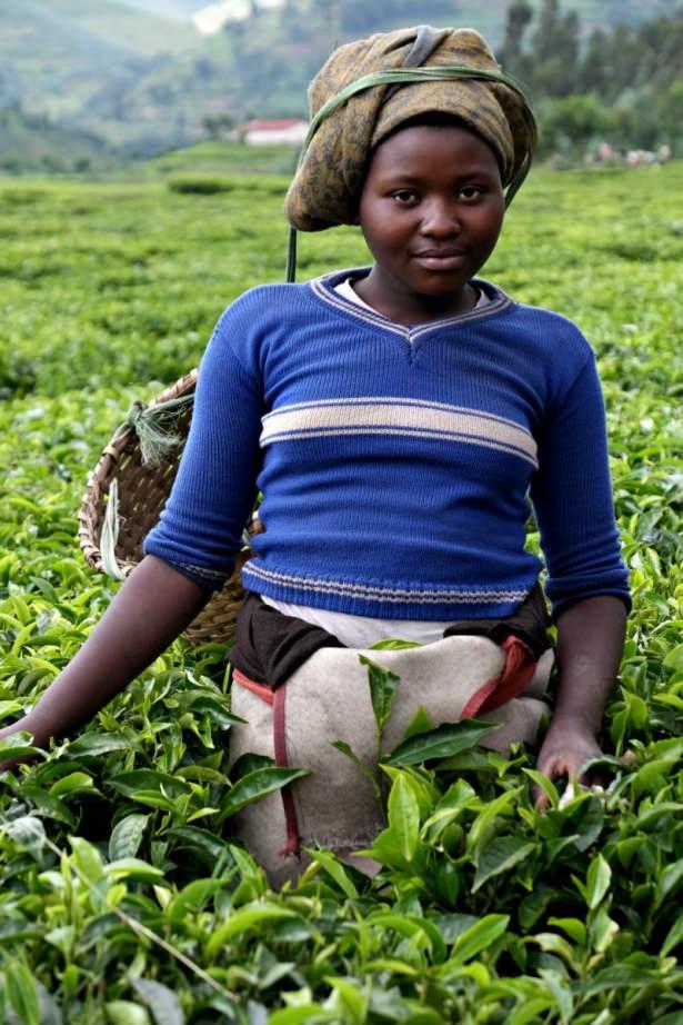 <p>Ailelerine çay tarlalarında gençler de yardımcı oluyor</p>
