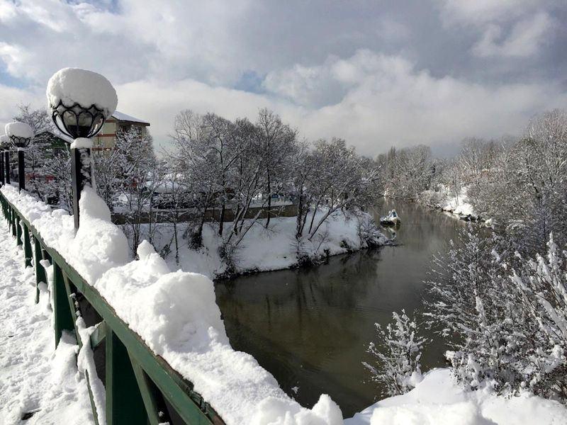 <p>BARTIN</p>
