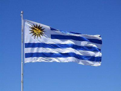 <p><strong>Uruguay</strong><br />
<br />
347 Türk yaşıyor.</p>
