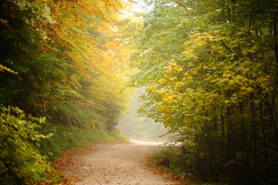 <p>Ormanlık alanların yanı sıra zengin nehir ve su kaynaklarının bulunduğu Bosna Hersek, sonbaharın gelmesiyle bambaşka bir g&uuml;zelliğe b&uuml;r&uuml;nd&uuml;.&nbsp;</p>
