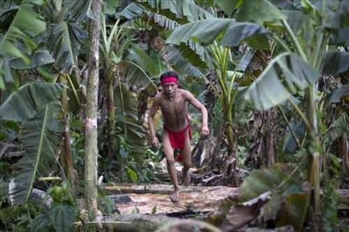 <p>Amerika kıtasının keşfedilmesinin üzerinden 500 yıla yakın süre geçmesine rağmen hala tamamı keşfedilememiş olan yerli halkların en büyüğü olan Yanomamiler, dış dünyayla bağlantı kurmamış kamplara sahip.</p>

<p> </p>
