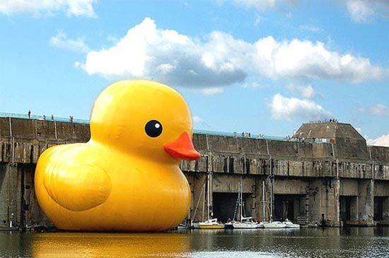 <p>Sanatçı Florentijn Hofman'ın DuckZilla adını verdiği eseri...</p>
<p> </p>