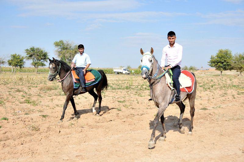 <p>Yarış atının kendilerine daha fazla gelir sağladığını görünce zamanla daha çok ata sahip olduklarını ve ilçede çiftlik kurduklarını dile getiren Yılmazoğlu, şöyle dedi:<br />
"Eskiden su yoktu, iş imkanları da yoktu. Bölgede işsizliğin yaşanması üzerine yaşlılar dahil herkes yarış atlarına yöneldi. Ben de çocukluğumdan beri atlarla ilgileniyorum. Şu anda da geçim kaynağımız yarış atı.</p>
