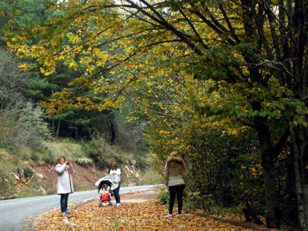 <p>BOLU - ABANT</p>
