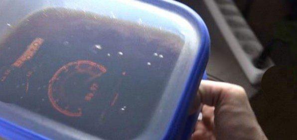 <p>Ve her iki telefonda buzlukta yerini almak için yola çıkıyor. </p>

<p> </p>
