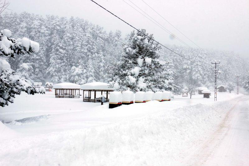 <p>BOLU</p>
