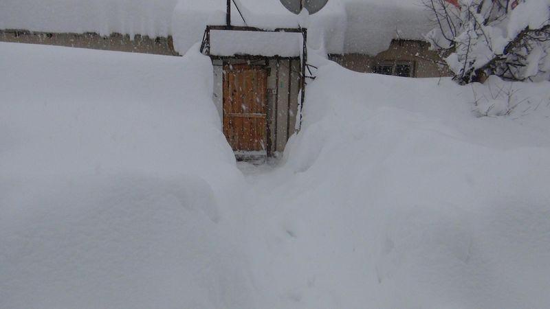 <p>BİTLİS</p>
