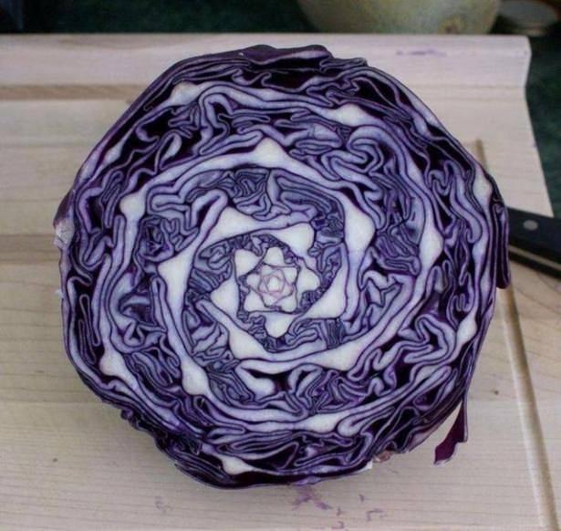 <p>Lahana geometrisi</p>

<p> </p>
