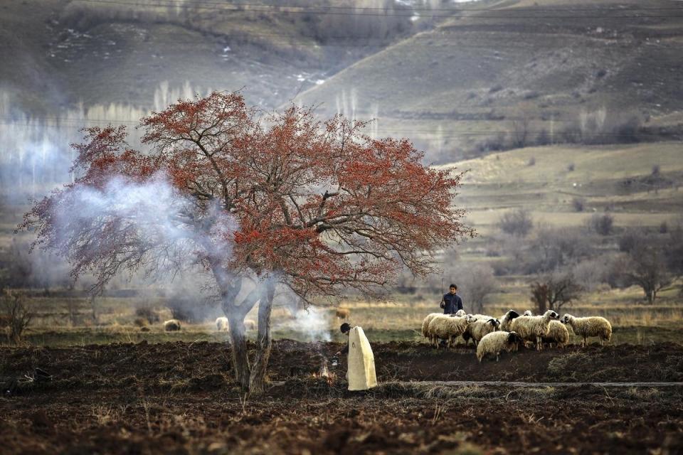 <p>Van'da soğuk hava hayatı olumsuz etkiledi. Gevaş ilçesine bağlı Göründü mahallesinde hayvanlarını otlatan çobanlar ateş yakarak ısındı. </p>