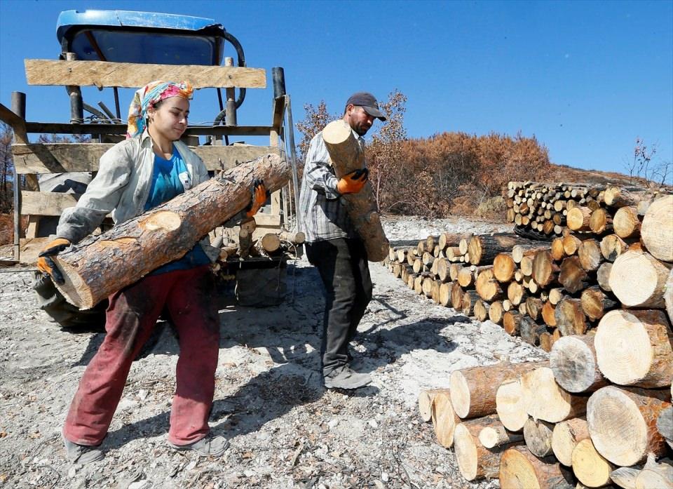 <p>İlkokulu bitirdikten sonra okula devam edemediği anlatan Şahin, okuma fırsatı bulmuş olsaydı, çok sevdiği ve yeteneği olduğuna inandığı için "fotoğrafçılık" okumayı ve iyi bir fotoğrafçı olmak istediğini söyledi. </p>
