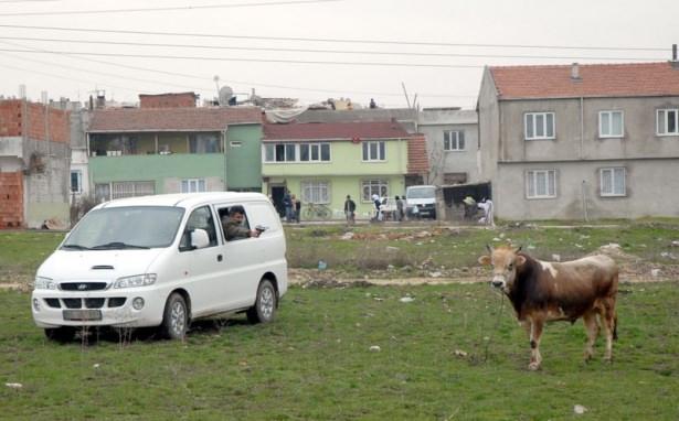 <p>Bursa'nın Merkez Osmangazi İlçesinde kesileceği sırada kaçan kurbanlık boğa yaklaşık 3 saat süren kovalamacanın ardından belediye ekiplerinin tabancayla uyuşturucu iğne yapması sonucunda yakalandı. </p>
