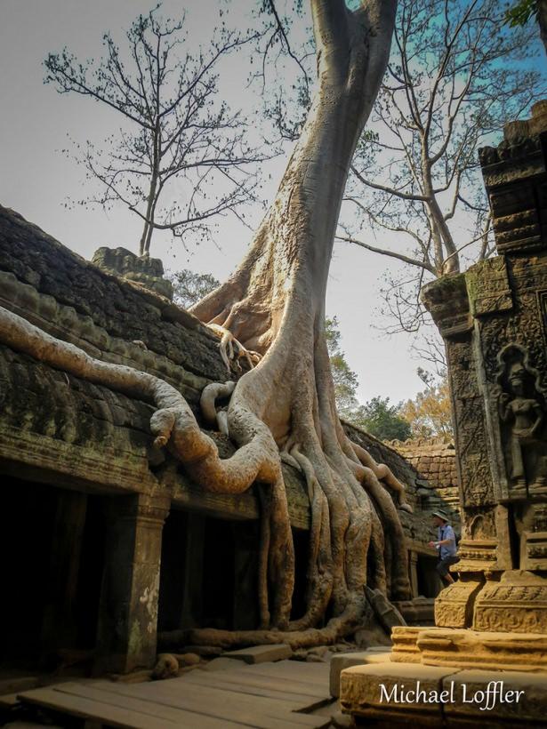 <p>&Ouml;zellikle son 3 yılda bir ama&ccedil; uğruna gezen Loffler yanına sadece bir fotoğraf makinası ve birka&ccedil; kişisel eşya almış.</p>

<p><br />
Ta Prohm, Kambo&ccedil;ya</p>
