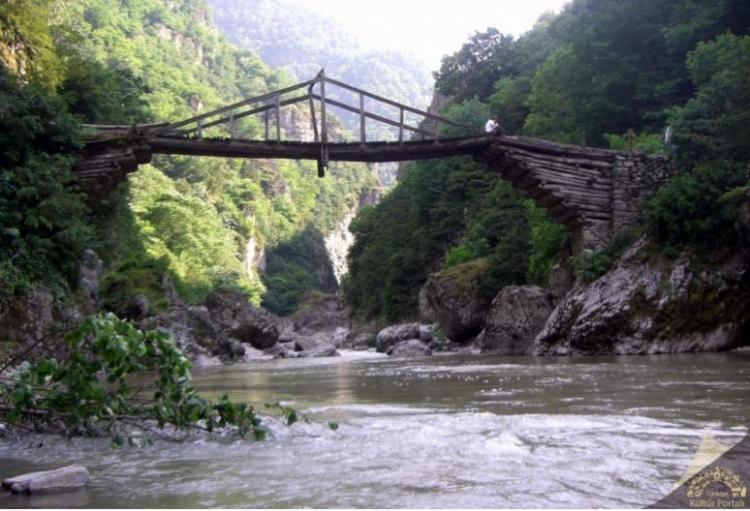 <p>Ordu</p>

<p>Nüfusu: 750 588  <br />
Toplam otomobil sayısı: 68 314<br />
​Kaç kişiye bir otomobil düşüyor: 11</p>
