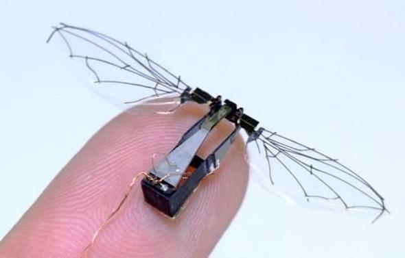 <p>RoboBee <br />
<br />
"Harvard Robotics Laboratory"nin ürettiği, 80 miligram ağırlığa ve 3 cm kanat genişliğine sahip olan bu robot askeri, çevresel izleme, arama ve kurtarma operasyonlarında kullanılabilir.</p>