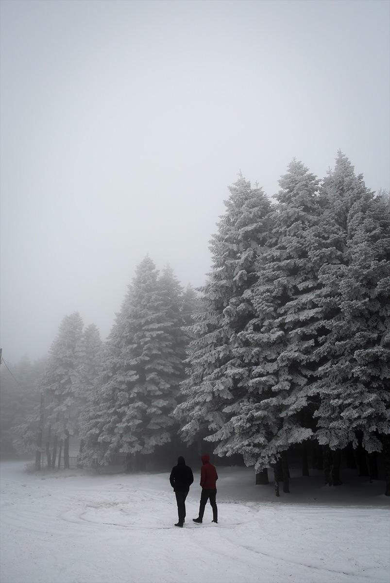 <p>BURSA</p>
