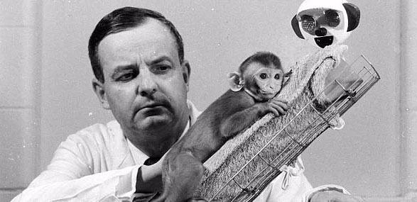 <p>20. yüzyılda yaşamış Amerikalı psikolog Harry Harlow. Deneylerinin çoğunu rhesus maymunları üzerinde yapmıştır. Maymunların duygusal bağlılıklarını test etmiştir.<br />
Deneylerinin bir kısmında sosyal dışlama uyguladığı maymunların depresyon sürecinde çıldırmalarını ve intihar etmelerini gözlemlemiştir. Uyguladığı zalim metotlar yüzünden Hayvan Hakları Örgütüne tazminat ödemek zorunda kalmıştır.</p>