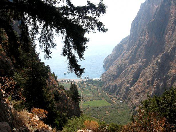 <p>Faralya</p>
