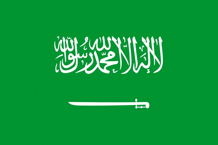 <p><strong>17- Suudi Arabistan</strong></p>

<p>Suudi Arabistan'dan Türkiye'ye 2010-2016 yılları arasında 1 milyar 949 milyon dolarlık yatırım geldi. 2017 Ocak-Şubat doğrudan yatırım tutarı ise sıfır.</p>
