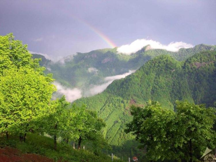 <p>Samsun<br />
<br />
Nüfusu: 1 295 927  <br />
Toplam otomobil sayısı: 157 999<br />
​Kaç kişiye bir otomobil düşüyor: 8,2</p>
