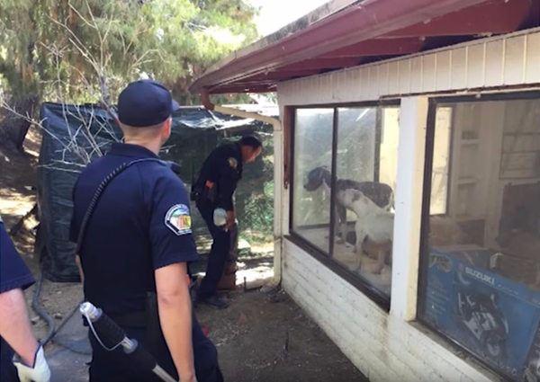 <p>Polisin içeride bulduklarını kimse beklemiyordu.</p>

<p> </p>
