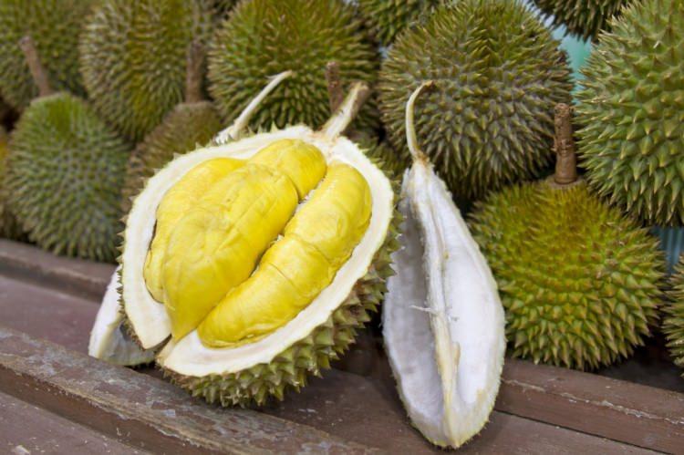 <p>Dışı dikenli içi yumuşacık '<strong>doğanın uyku hapı'</strong> durian meyvesini sizler için araştırdık...</p>
