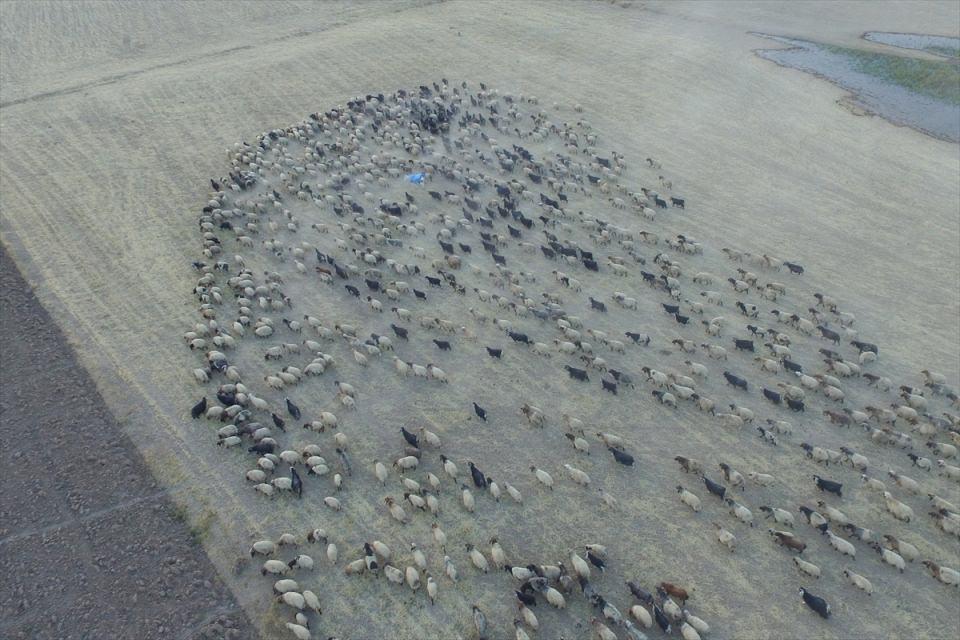 <p>Bu çileli yolculuğu, Anadolu Ajansı ekibi "drone"la görüntüledi.</p>
