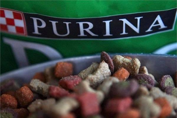 <p>9- Nestlé Purina PetCare</p>

<p> </p>
