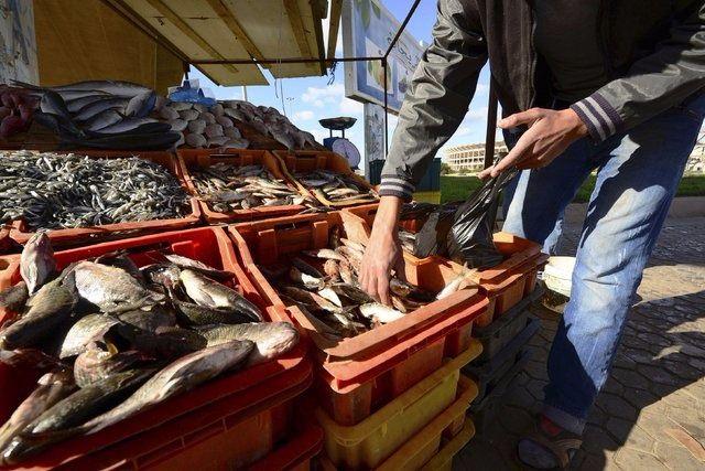 <p>Libya: 33.5 kg</p>

<p> </p>
