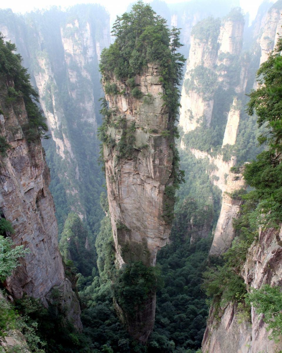 <p>Tianzi Dağı (Çin) — Avatar filminden esinlemiş gibi</p>