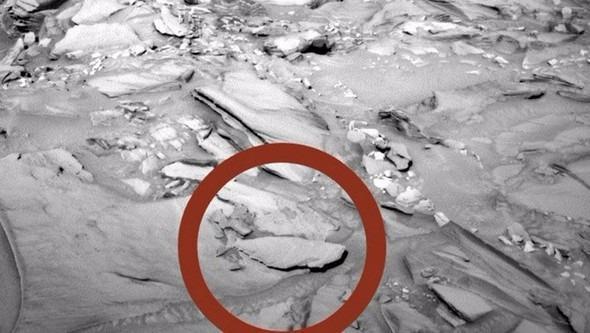 <p>Mars yüzeyinde bulunan uzay aracı Curiosity tarafından çekilen fotoğrafa dikkatli bakıldığında ortalara doğru alt taraflarda tıpkı balığı andıran bir nesne göze çarpıyor.</p>
<p> </p>