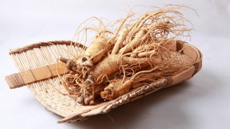 <p>Karaciğeri toksitlerden arındırarak, tümör oluşumunu engeller.</p>

<p>Kandaki kortizol oranını düşüren ginseng, diyabet hastalarının da yardımcısıdır.</p>
