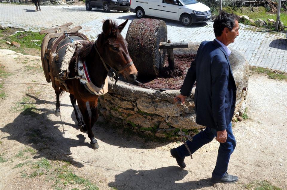 <p>Mahallede çarkı at veya büyükbaş hayvanla döndürülen eskilerden kalma değirmende ezilen zeytinler, daha sonra keseye konularak ayakla eziliyor. </p>

<p> </p>
