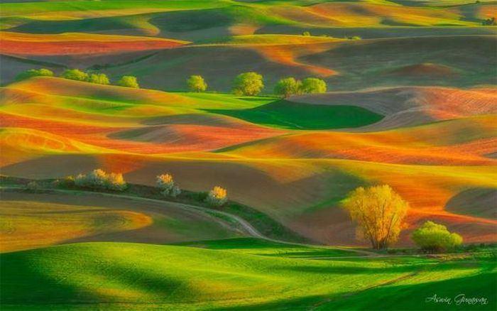 <p>61- Bahar ruhu, Washington.</p>

<p> </p>
