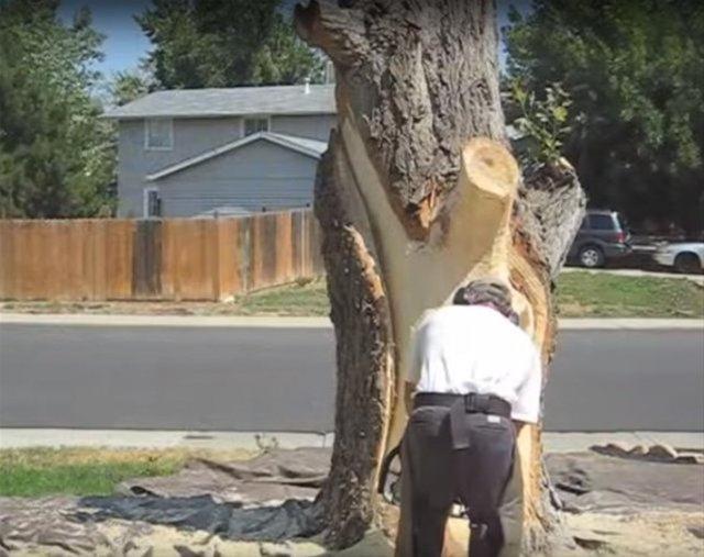 <p>Bir kişi evinin önünde bulunan kuru ağacı kesmek yerine elektrikli testere ile sanat eseri yaptı.</p>
