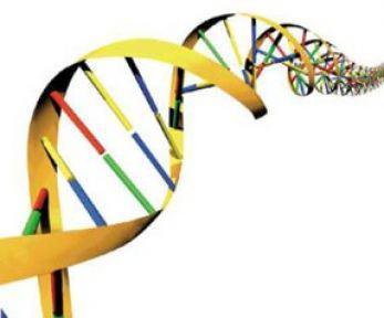 Geçen yıl çeşitli ülkelerin önemli laboratuvarlarında   geliştirilen 10 buluş, bilim dünyasında yeni heyecanlar yarattı