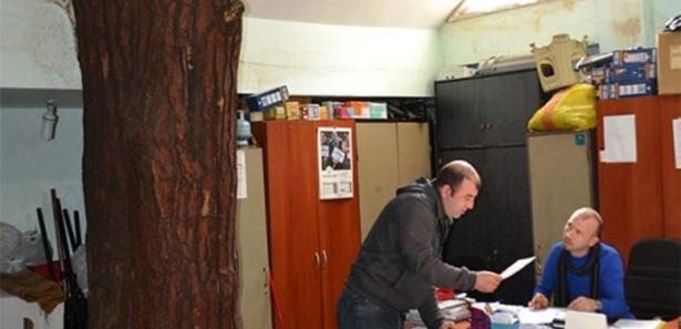 Çatıda ağacın gövdesinin dışarıya çıktığı bölmenin çevresi yağmurlu havalarda içeriye su dolmasını engellemek amacıyla izolasyon döşenerek koruma altına alınan ağacın köklerinin bulunduğu oda içinde zabıta ekipleri görev yapıyor.