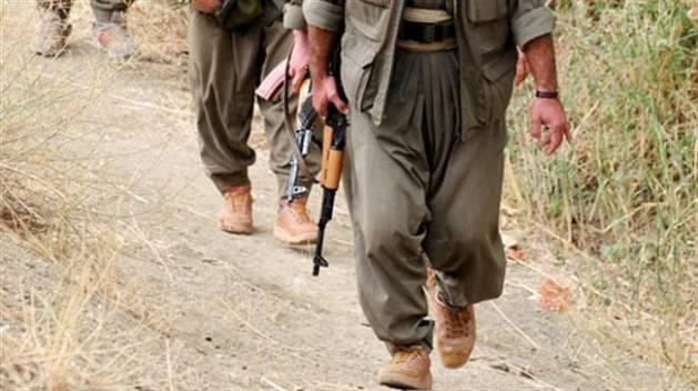 Tarih boyunca ülke yönetimleri ve silahlı mücadele yolunu seçen çeşitli etnik, dini ya da siyasi gruplar arasında ihtilaflar yaşandığını belirten güvenlik araştırmaları uzmanları, bu ihtilafların yaşandığı ülkelerdeki siyasi, tarihi, coğrafi, kültürel ve ekonomik koşulların farklılık gösterdiğine dikkati çekiyor.  Sorunların çözüme kavuşturulmasında başarı sağlayan bir yöntemin o ülkede izlediği yöntemlerin başka ülkelerde de aynı sonucu getirmesinin beklenemeyeceğinin altını çizen uzmanlar, her ülkede yaşanan problemin derinliğinin ve bileşenlerinin farklı olduğuna vurgu yaparak, sürecin örgütün savunduğu ideolojiye bağlı olarak değişebildiğini, sorundaki aktör sayısının çokluğunun ya da durumun uluslararasılaşma boyutunun da önemli etkenlerden olduğunu ifade ediyor.  Her birinin müzakere başlangıç noktası ve nedeni farklı olsa da, yakın tarihten bu süreçlere pek çok örnek vermek mümkün.