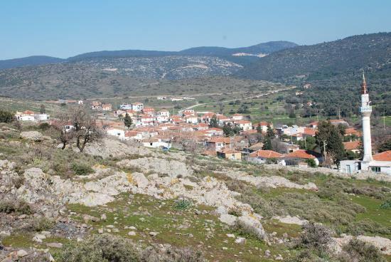 <p><span>Yoldan hiçbir şekilde görülmeyen ve iki tarafı da dağla çevrili özel koyda denize giren, dinlenen Başbakan Erdoğan’ın, tatili sırasında Zeytineli köyündeki vatandaşlarla sohbet ettiği, ormana giren keçiler yüzünden ceza yazılan köylülerin şikayeti üzerine Orman Bakanlığı'nı arayarak konuyla ilgilenmelerini istediği öğrenilmiş ve o dönem yansıyan haberlerde Başbakan Erdoğan'ın cezaevinden çıktıktan sonra da hemen aynı koya gelerek dinlendiği konuşulmuştu.</span></p>