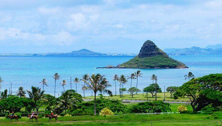 <p>Hawaii alfabesinde sadece 12 harf bulunmaktadır.</p>
<p> </p>