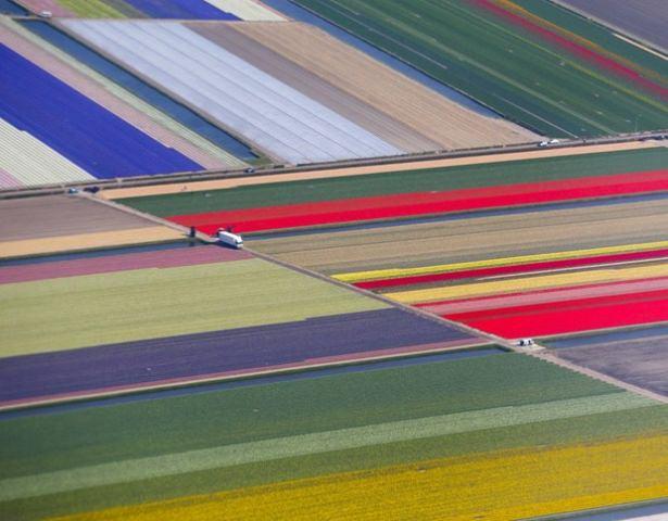 <p>Keukenhof parkındaki lale tarlasının havadan görüntüsü</p>

<p>Hollanda</p>
