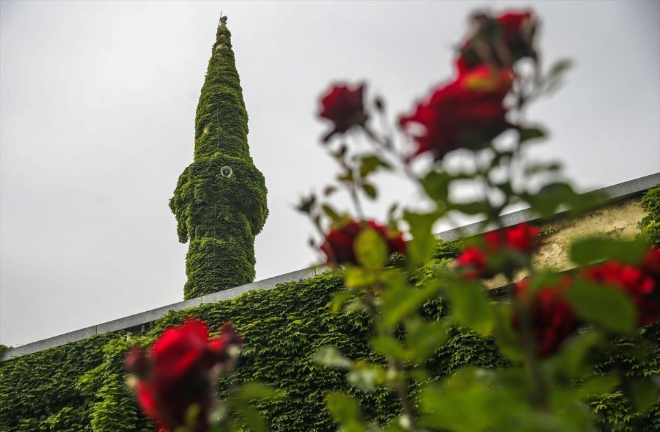 <p>Adana'da, 1930'da yapılan Köprüköy Camisi, dış duvar ve minaresini kaplayan sarmaşıklar ve bahçesinde bulunan çok sayıda çiçekle botanik bahçesini andırıyor.</p>
