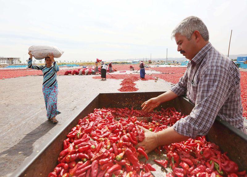 <div>Müşteriler bizden aldıktan sonra içine zevkine göre kuruyemiş koyuyorlar.</div>

<div> </div>
